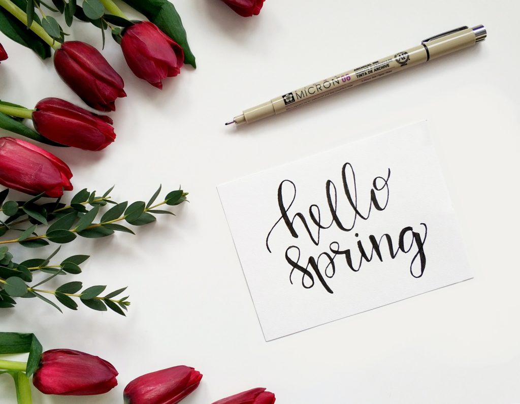 What is your favorite part of Spring?